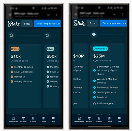 Программа лояльности в Stake Casino